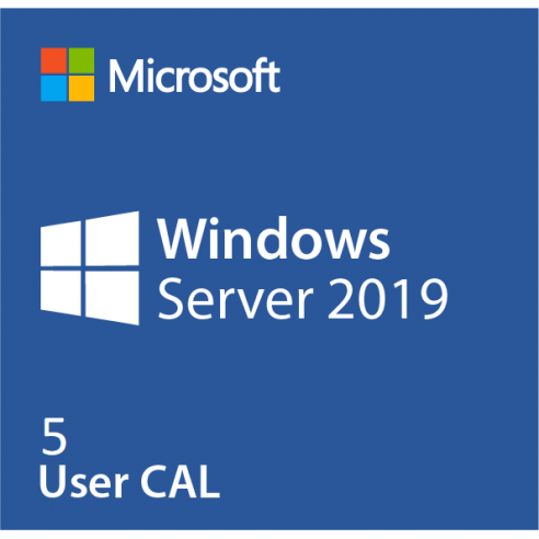Windows Server CAL 2019 English 1pk DSP OEI 5 Clt User CAL